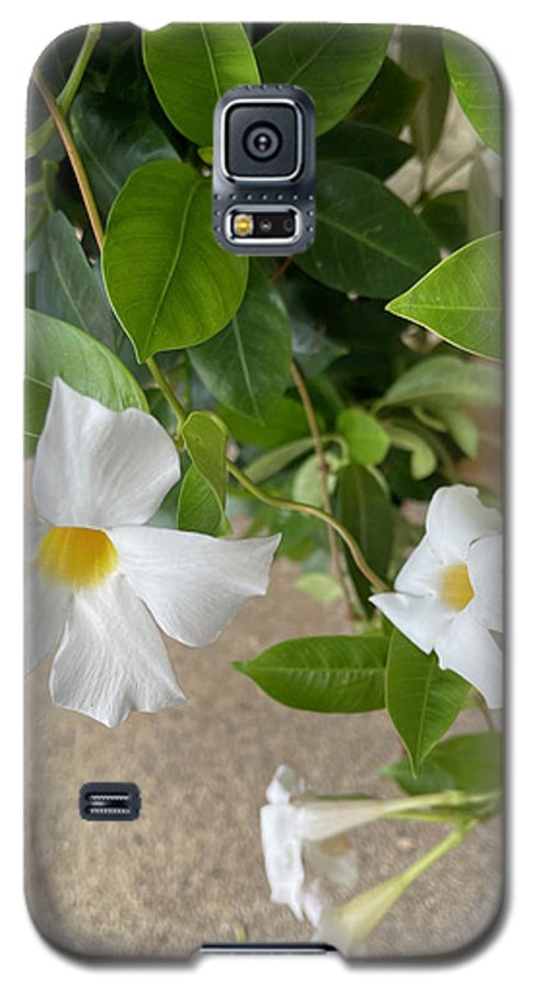 White Sidewalk Flower - Phone Case