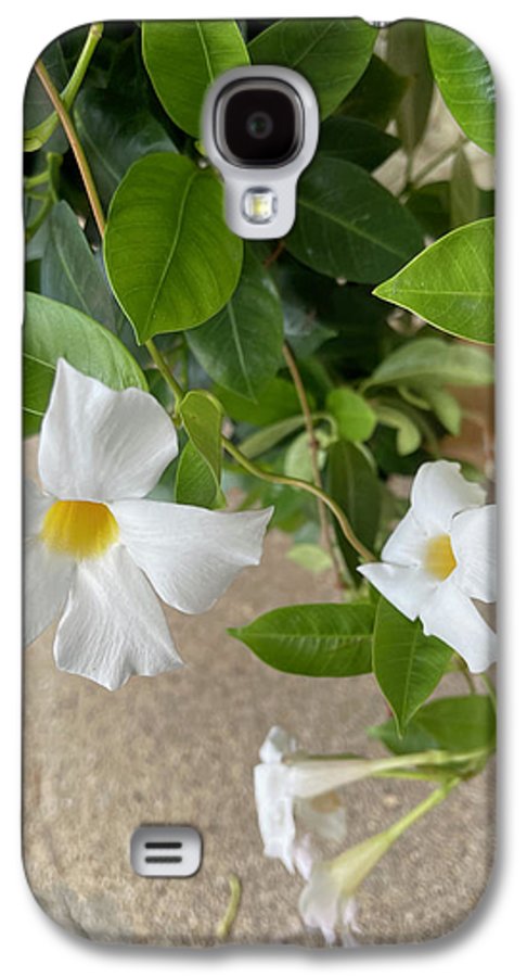 White Sidewalk Flower - Phone Case