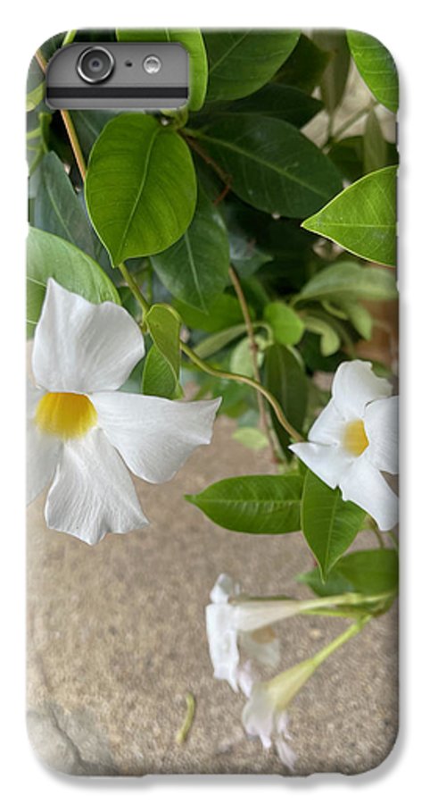 White Sidewalk Flower - Phone Case