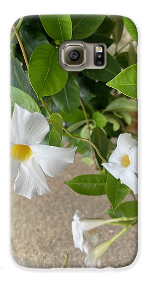White Sidewalk Flower - Phone Case