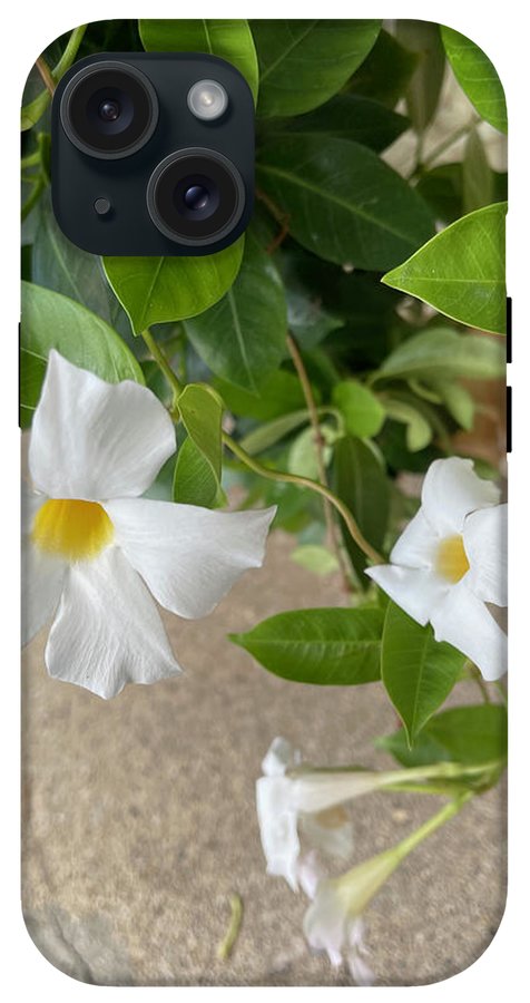 White Sidewalk Flower - Phone Case