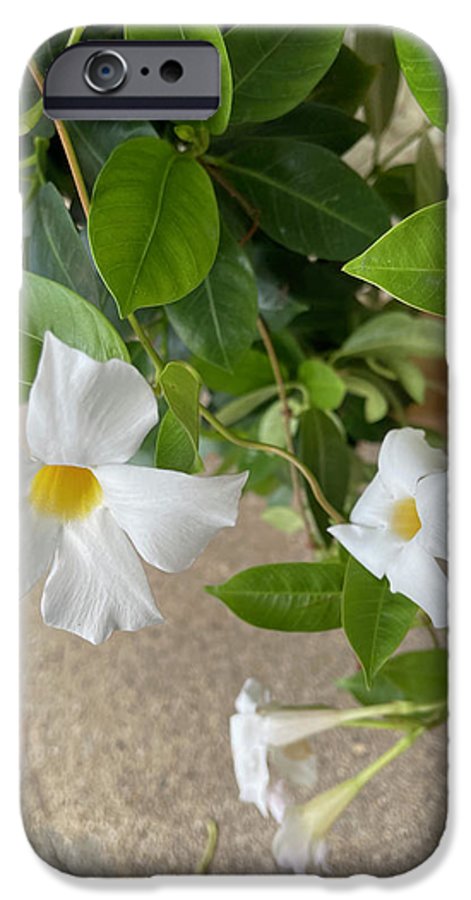 White Sidewalk Flower - Phone Case