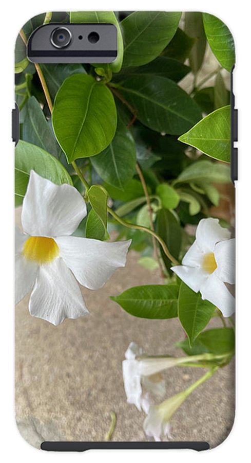 White Sidewalk Flower - Phone Case