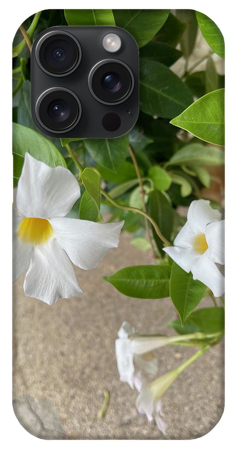 White Sidewalk Flower - Phone Case