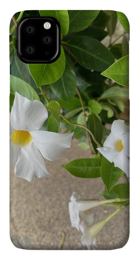White Sidewalk Flower - Phone Case