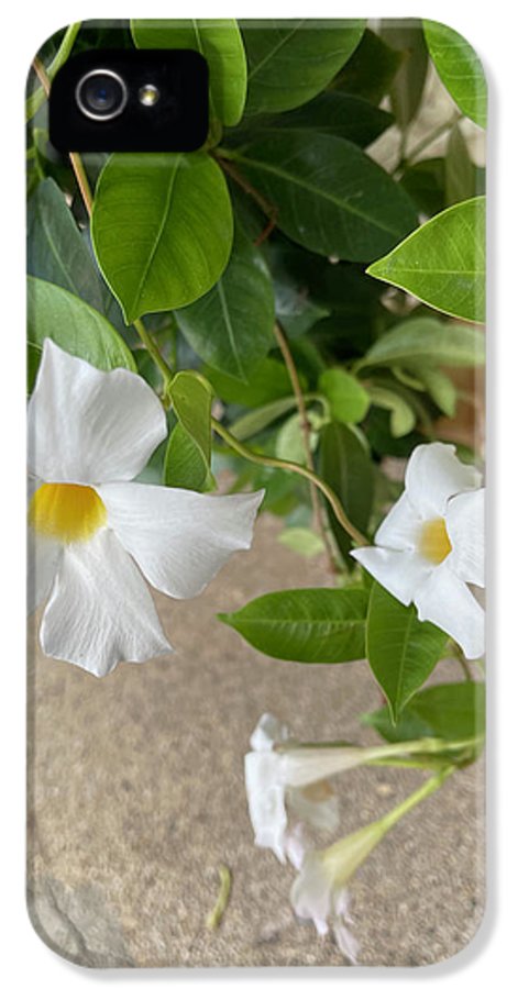 White Sidewalk Flower - Phone Case