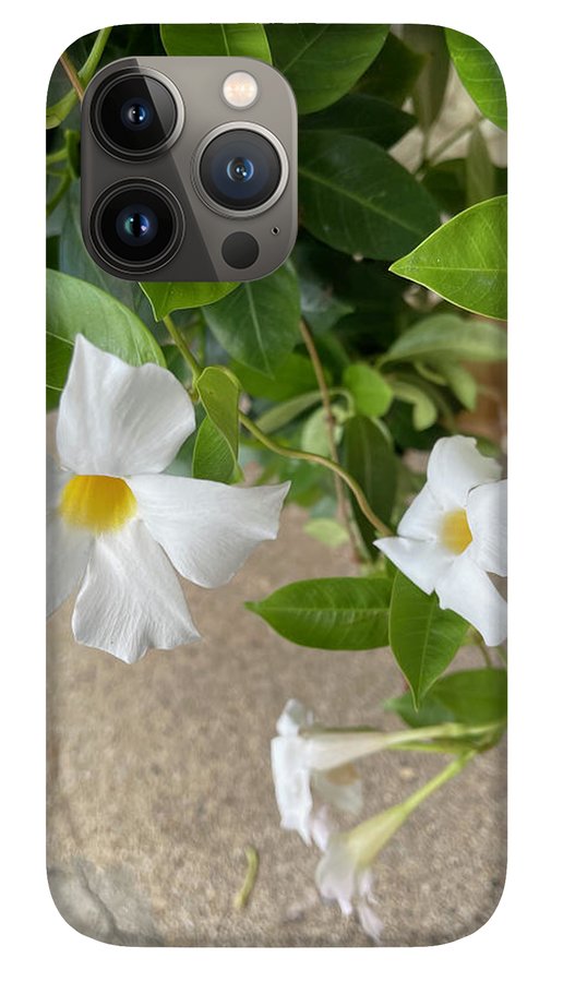 White Sidewalk Flower - Phone Case