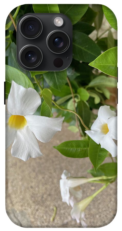 White Sidewalk Flower - Phone Case