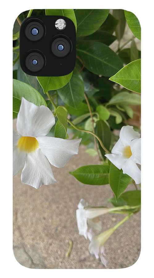 White Sidewalk Flower - Phone Case