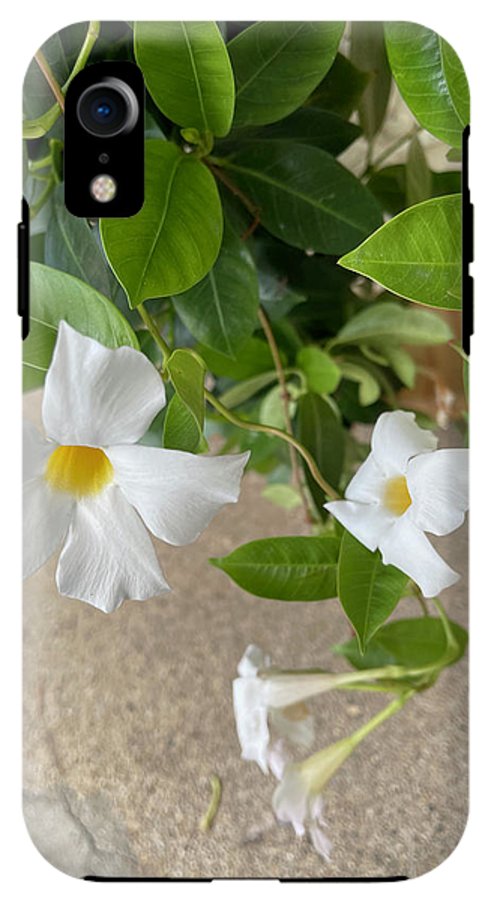 White Sidewalk Flower - Phone Case
