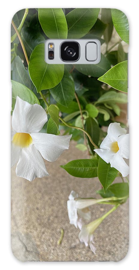 White Sidewalk Flower - Phone Case
