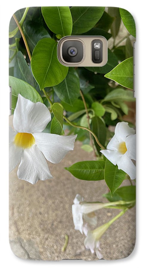 White Sidewalk Flower - Phone Case