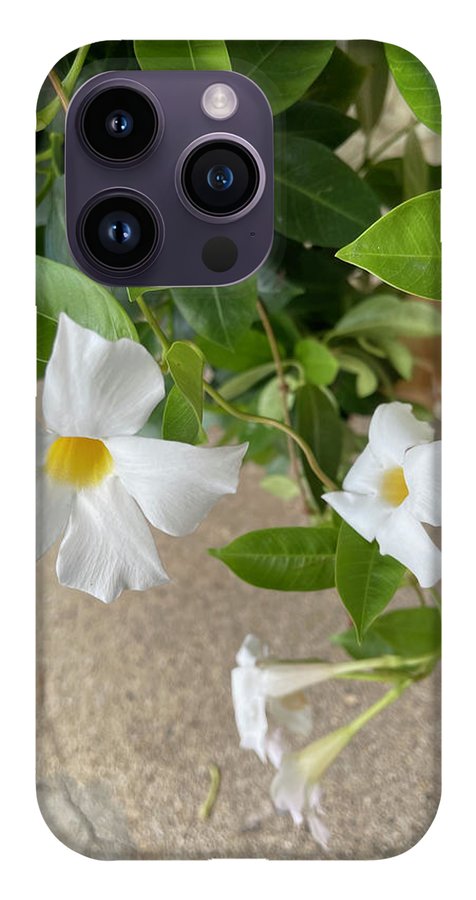 White Sidewalk Flower - Phone Case