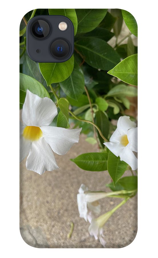 White Sidewalk Flower - Phone Case
