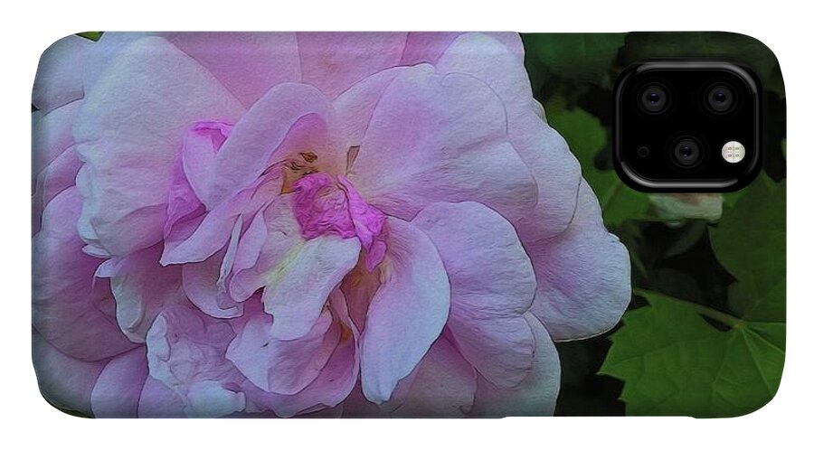 Wild Random Pink Rose - Phone Case