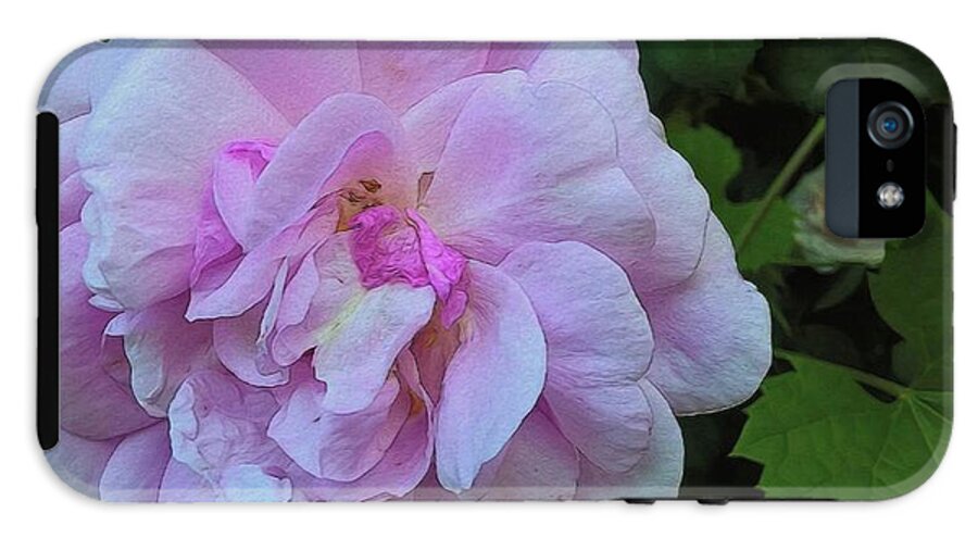 Wild Random Pink Rose - Phone Case