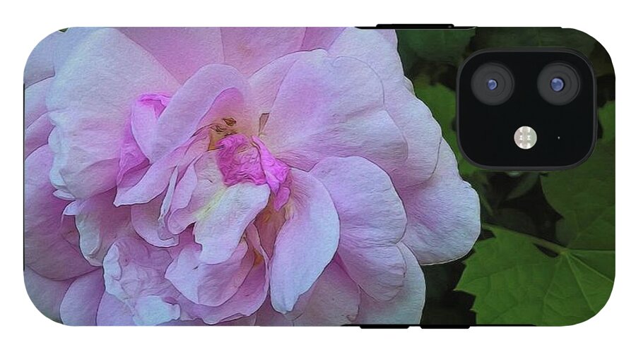 Wild Random Pink Rose - Phone Case