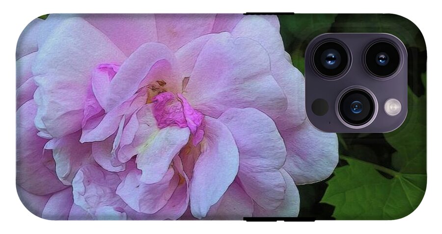 Wild Random Pink Rose - Phone Case
