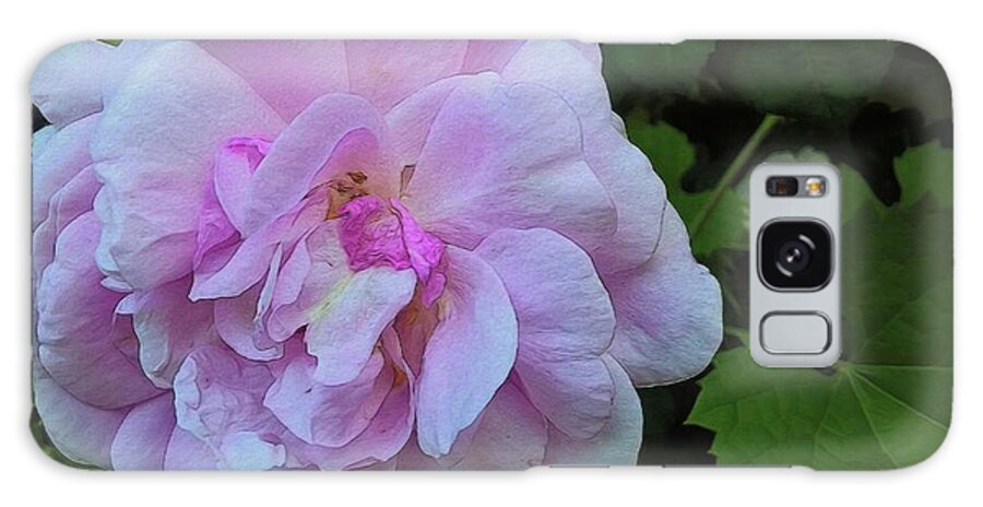 Wild Random Pink Rose - Phone Case
