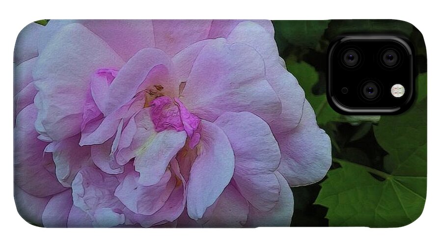 Wild Random Pink Rose - Phone Case