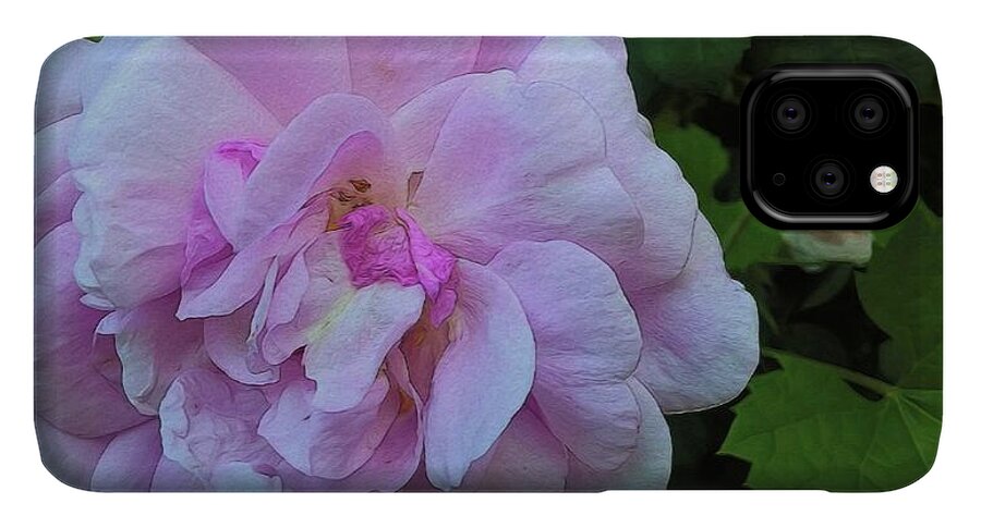 Wild Random Pink Rose - Phone Case
