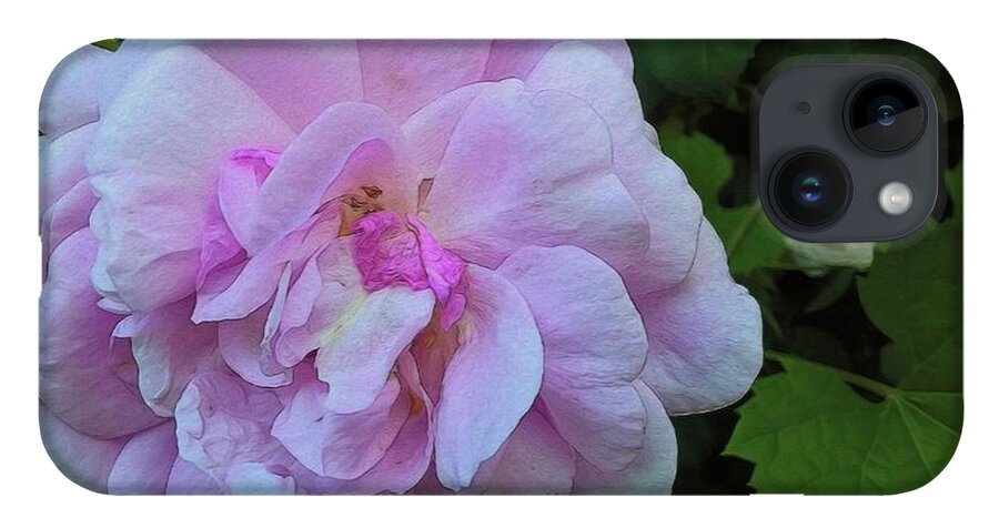 Wild Random Pink Rose - Phone Case