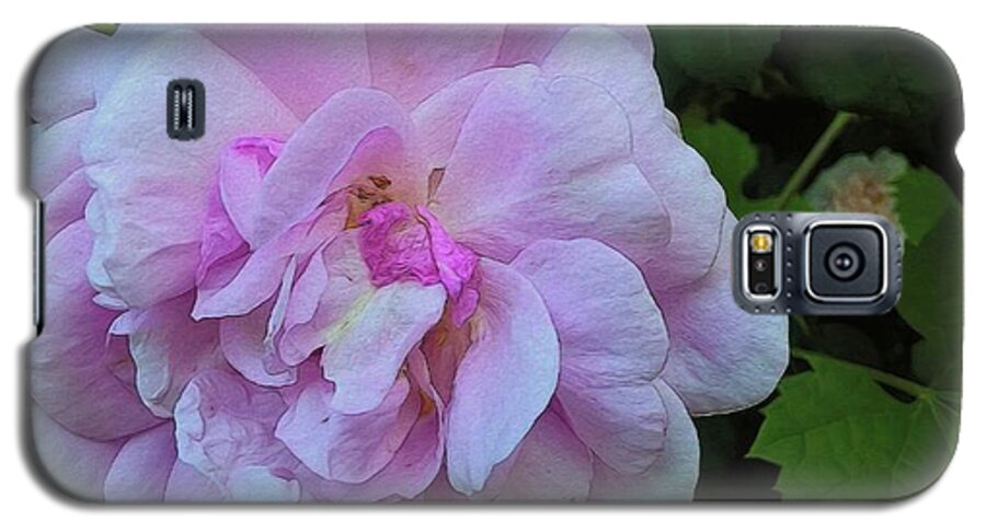Wild Random Pink Rose - Phone Case