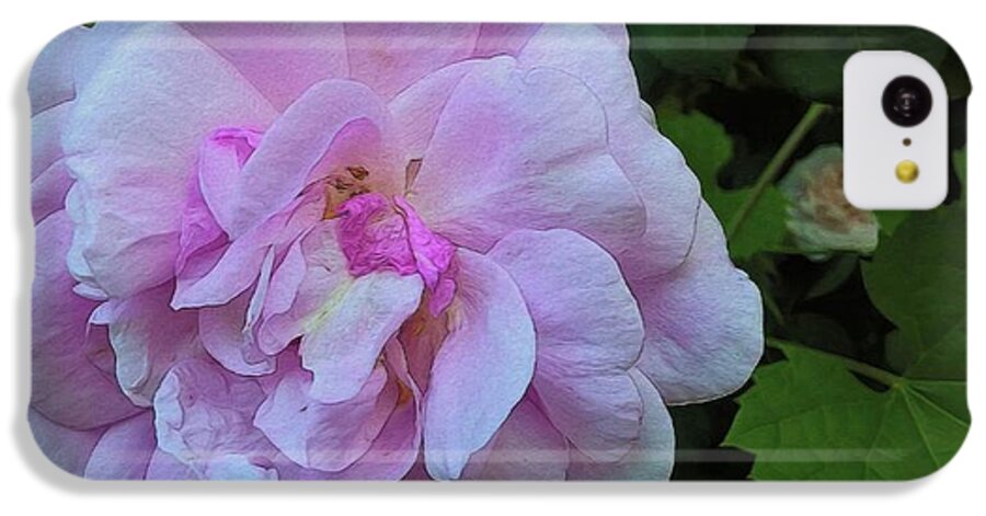 Wild Random Pink Rose - Phone Case