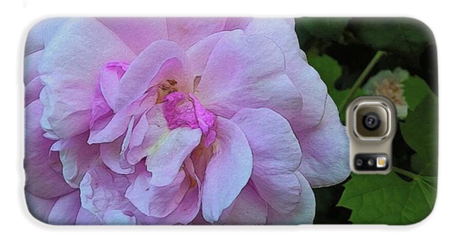 Wild Random Pink Rose - Phone Case