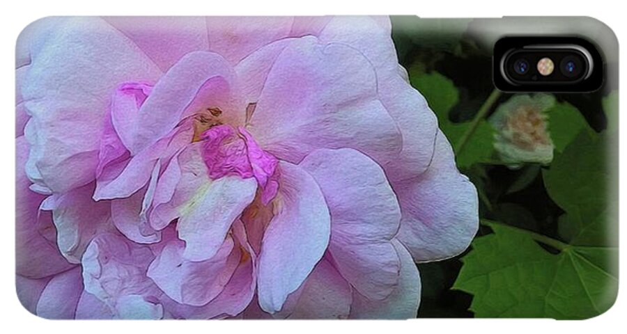 Wild Random Pink Rose - Phone Case