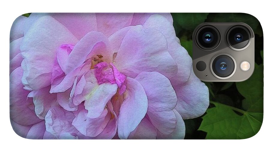 Wild Random Pink Rose - Phone Case