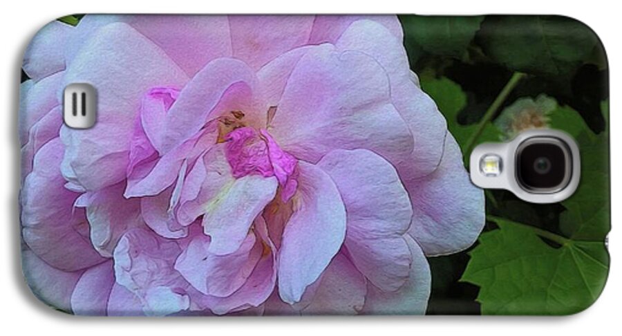 Wild Random Pink Rose - Phone Case