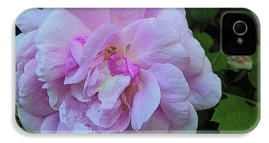 Wild Random Pink Rose - Phone Case