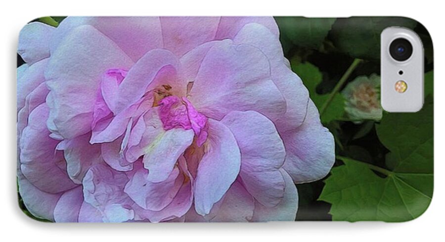 Wild Random Pink Rose - Phone Case