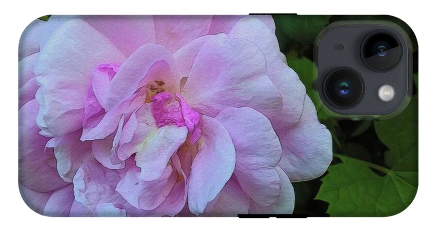 Wild Random Pink Rose - Phone Case