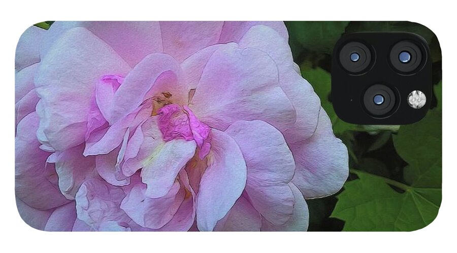Wild Random Pink Rose - Phone Case