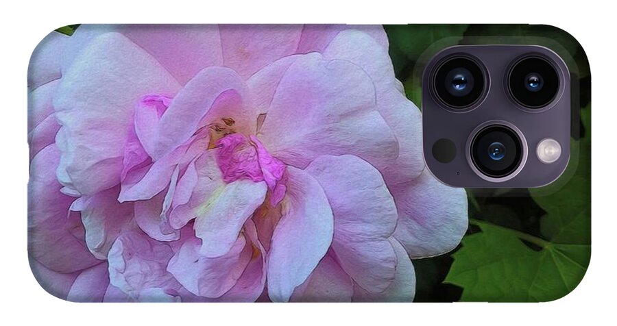 Wild Random Pink Rose - Phone Case