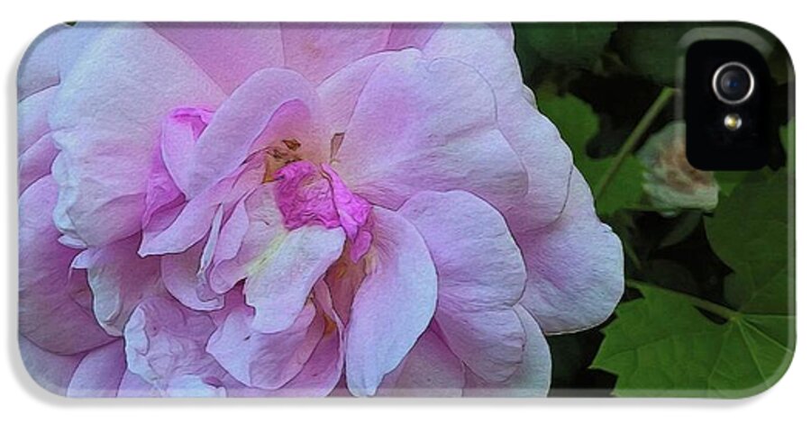 Wild Random Pink Rose - Phone Case