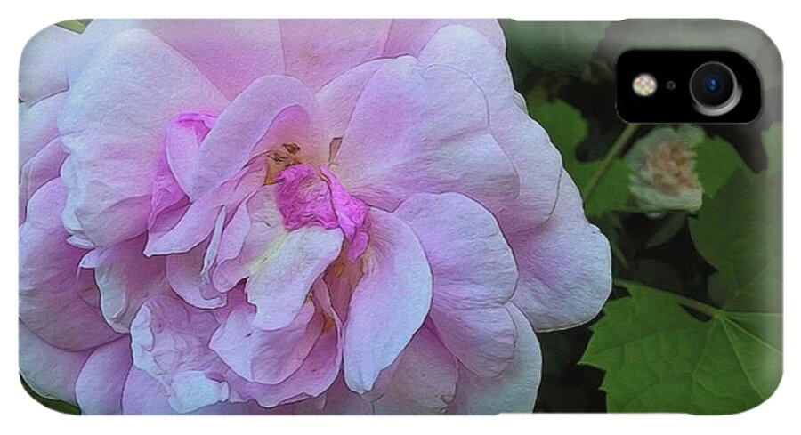 Wild Random Pink Rose - Phone Case