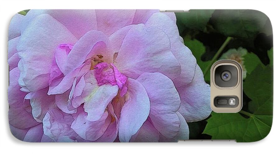 Wild Random Pink Rose - Phone Case