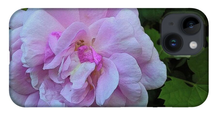 Wild Random Pink Rose - Phone Case