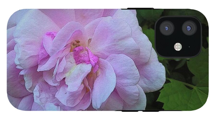 Wild Random Pink Rose - Phone Case