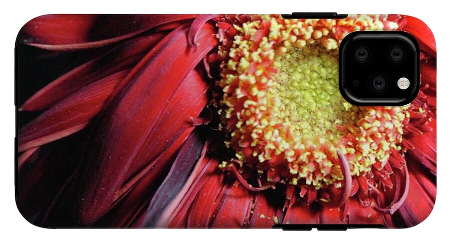 Wilting Red Daisy - Phone Case