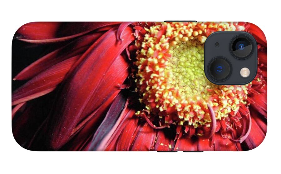 Wilting Red Daisy - Phone Case