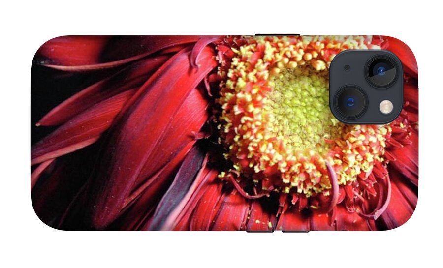 Wilting Red Daisy - Phone Case