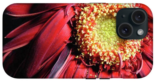 Wilting Red Daisy - Phone Case