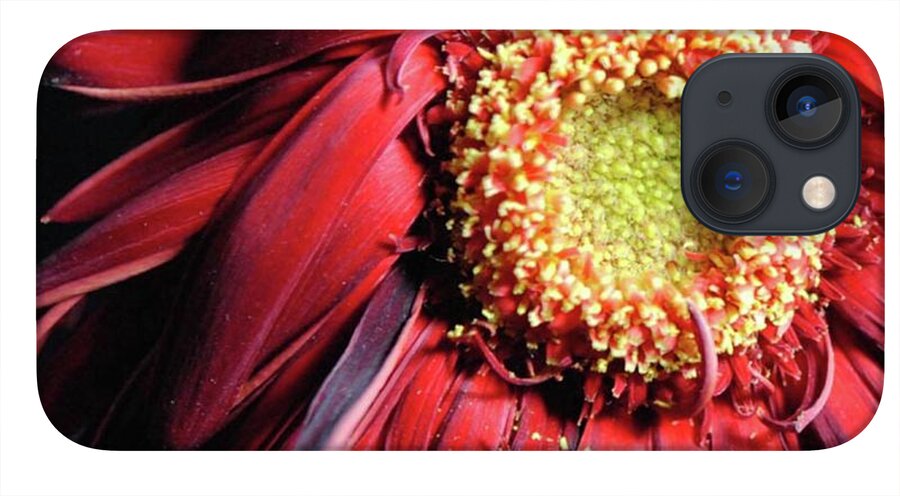 Wilting Red Daisy - Phone Case