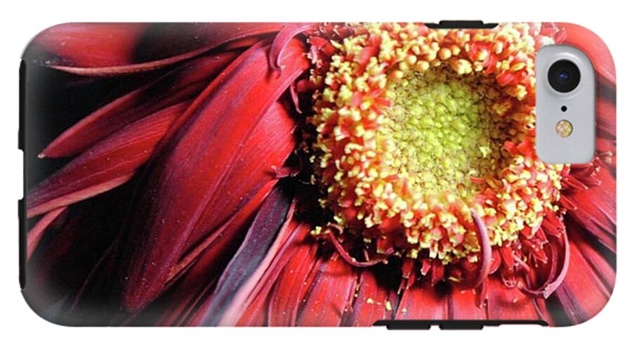 Wilting Red Daisy - Phone Case