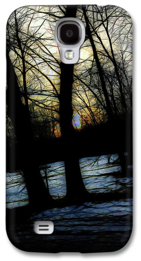 Winter Twilight Teases the Woods - Phone Case