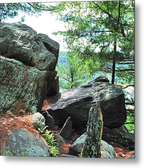 Wisconsin lake Parkland - Metal Print